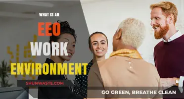 Understanding EEO: Creating a Fair and Inclusive Workplace Environment
