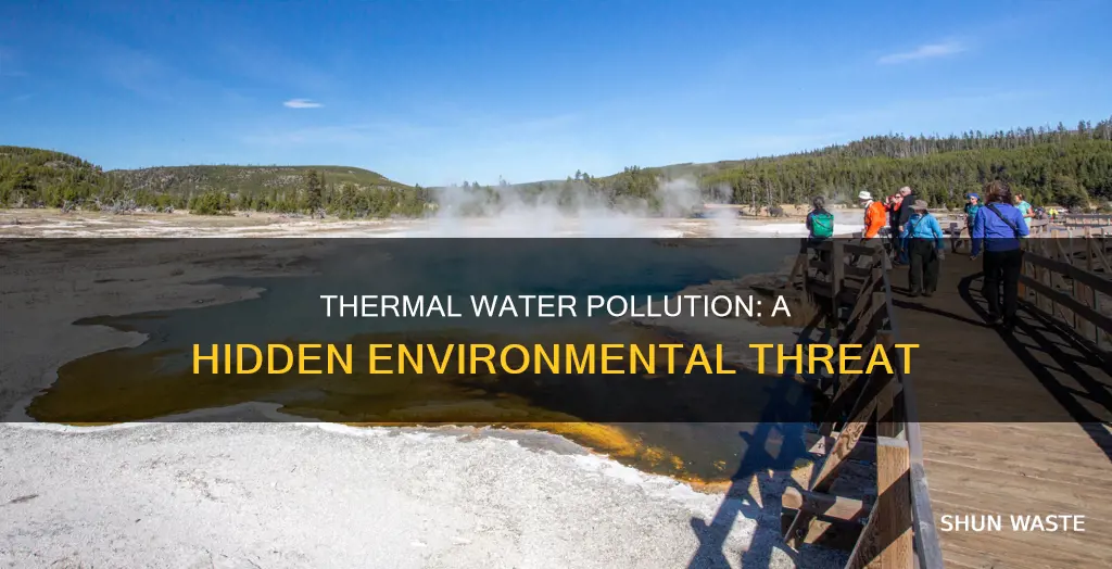 what is an effect of thermal water pollution