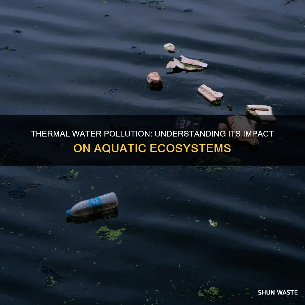 what is an effect of thermal water pollution