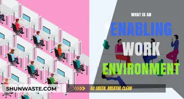 Creating an Enabling Work Environment: Strategies for Success and Growth