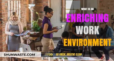 Creating an Enriching Work Environment: Key Elements for Growth and Satisfaction