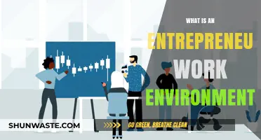 Fostering Innovation: Understanding the Entrepreneurial Work Environment Dynamics