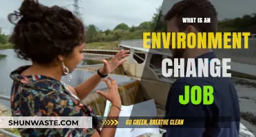Exploring Environment Change Jobs: Roles, Impact, and Career Opportunities