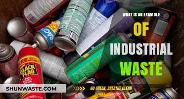 Understanding Industrial Waste: A Real-World Example and Its Impact
