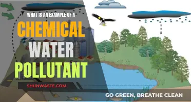 Unveiling the Hidden Enemy: Chemical Water Pollutants and Their Impact