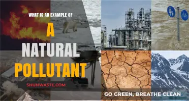 Natural Pollutants: Examples and Their Sources