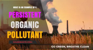 Persistent Pollutants: A Global Health Threat