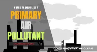 Air Pollutants: Primary Examples and Their Sources