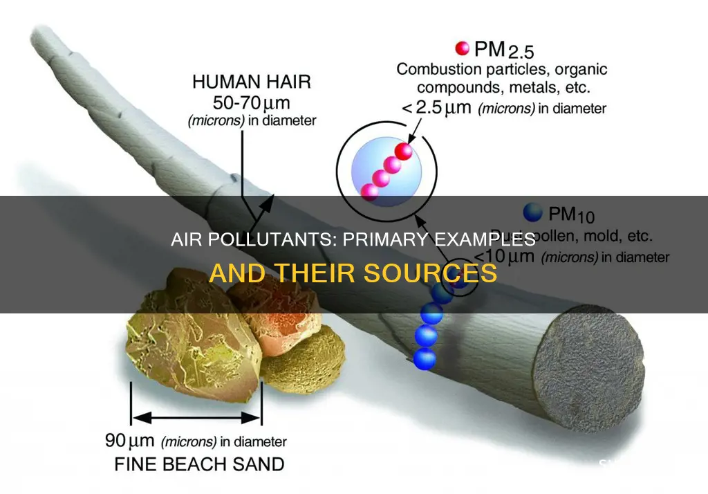 what is an example of a primary air pollutant