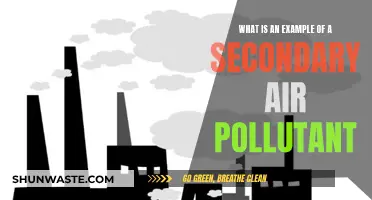 Air Pollution's Secondary Impact: Understanding the Haze