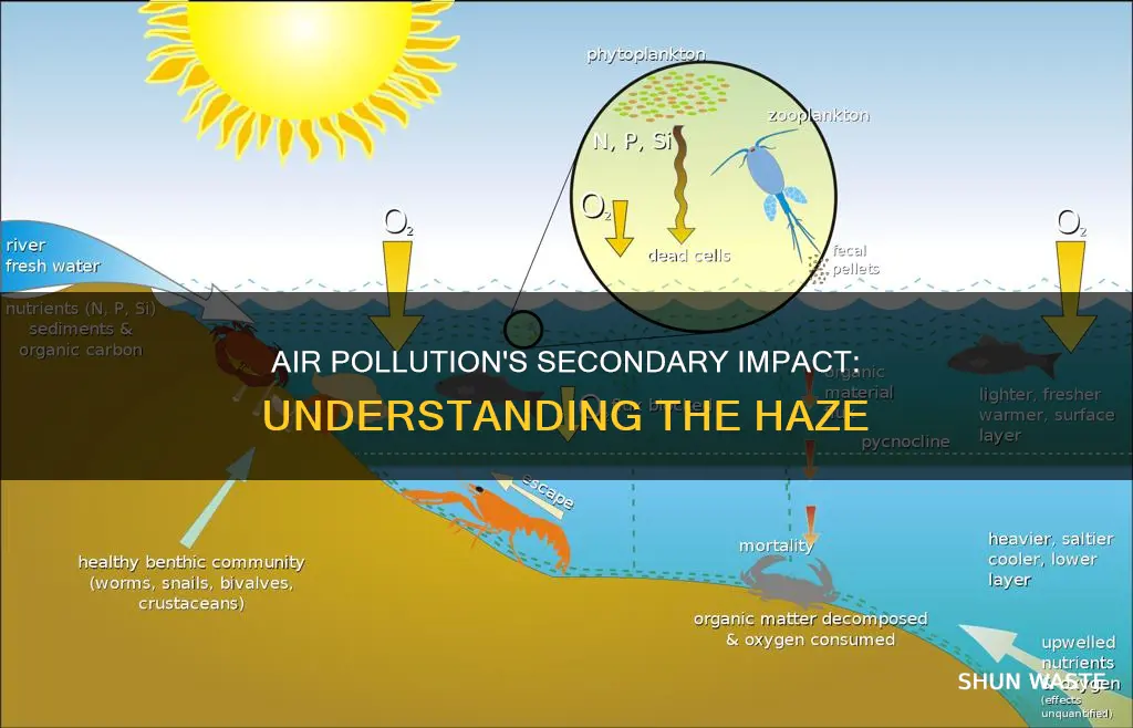 what is an example of a secondary air pollutant