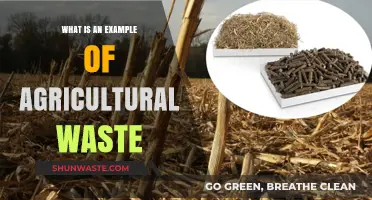 Exploring Agricultural Waste: Common Examples and Their Impact on Farming