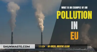 Air Pollution in the EU: A Case Study