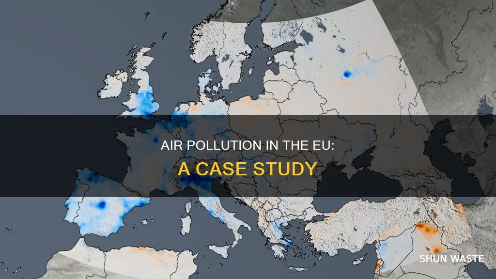 what is an example of air pollution in eu