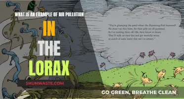 Air Pollution in the Lorax: A Case Study