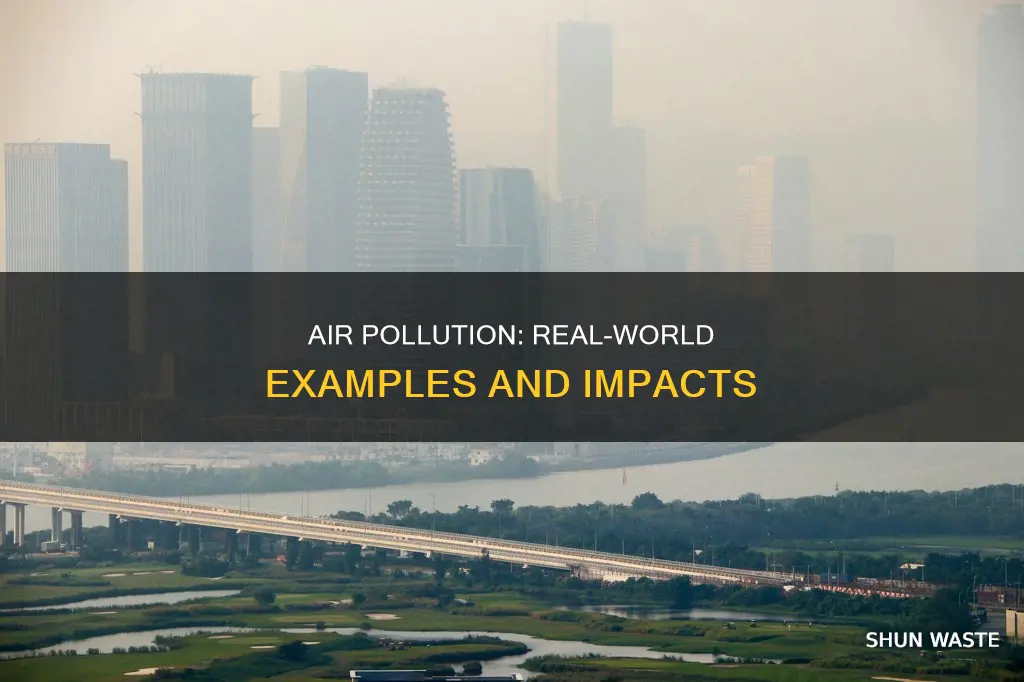 what is an example of air pollution in the text