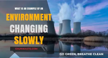Gradual Shifts: Examples of Slow Environmental Changes Over Time