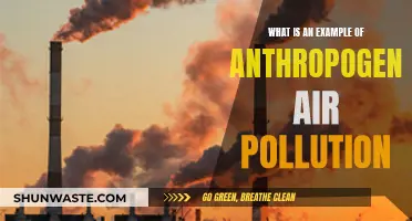 Air Pollution's Human Culprits: Examples and Impacts