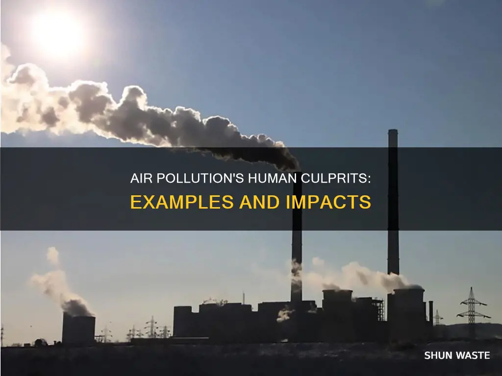 what is an example of anthropogenic air pollution
