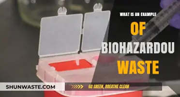 Understanding Biohazardous Waste: Common Examples and Safe Disposal Practices