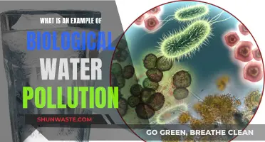 Understanding the Impact: Biological Water Pollution Explained