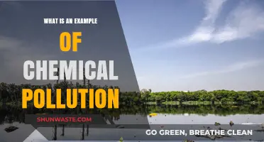 Chemical Pollution: A Toxic River Runs Through It