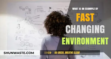 Rapid Shifts: Examples of Fast-Changing Environments in Today’s World