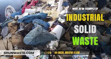 Exploring Industrial Solid Waste: Common Examples and Environmental Impact