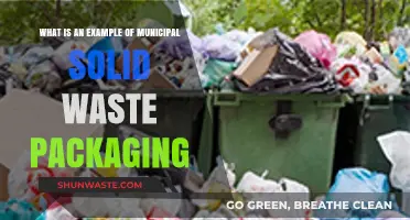 Understanding Municipal Solid Waste: Common Packaging Examples Explained