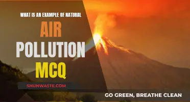 Natural Air Pollution: MCQ Example