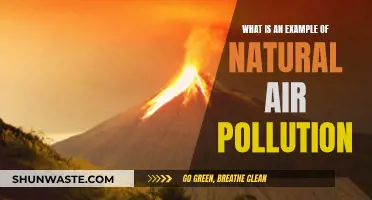 Natural Air Pollution: Forest Fires and Their Impact