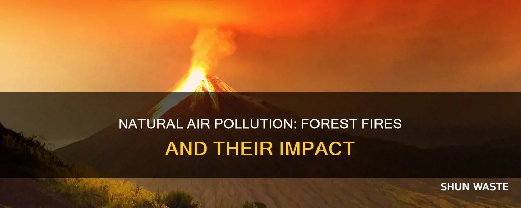 what is an example of natural air pollution