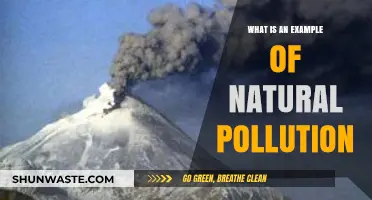 Nature's Pollution: The Unseen Threat