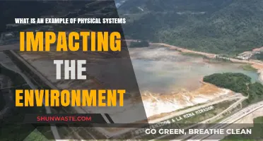 How Physical Systems Like Dams Alter Ecosystems and Environments