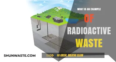 Understanding Radioactive Waste: Real-World Example and Its Impact