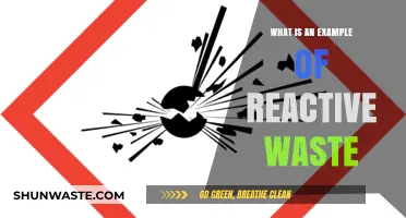 Understanding Reactive Waste: A Real-World Example and Its Impact