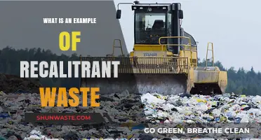 Understanding Recalcitrant Waste: A Real-World Example Explained