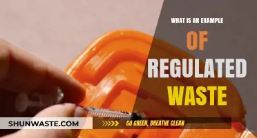 Understanding Regulated Waste: Examples and Proper Disposal Methods