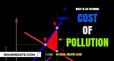 Pollution's External Costs: Who Pays the Price?