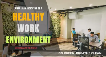 Key Signs of a Healthy Work Environment: What to Look For