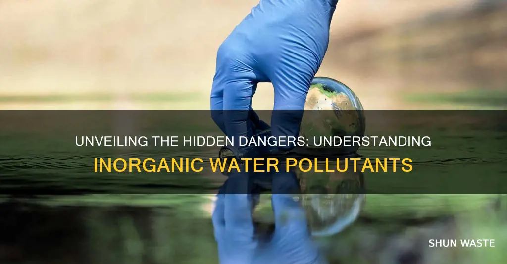 what is an inorganic water pollutant