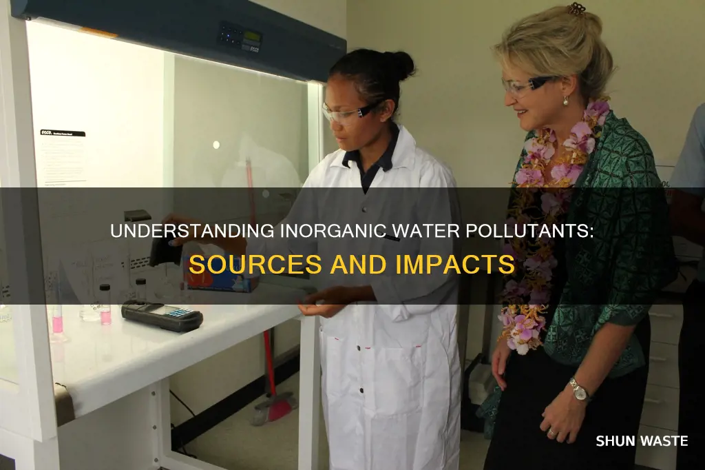 what is an inorganic water pollutant