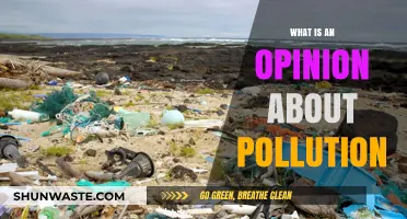 Pollution's Impact: My Personal Perspective