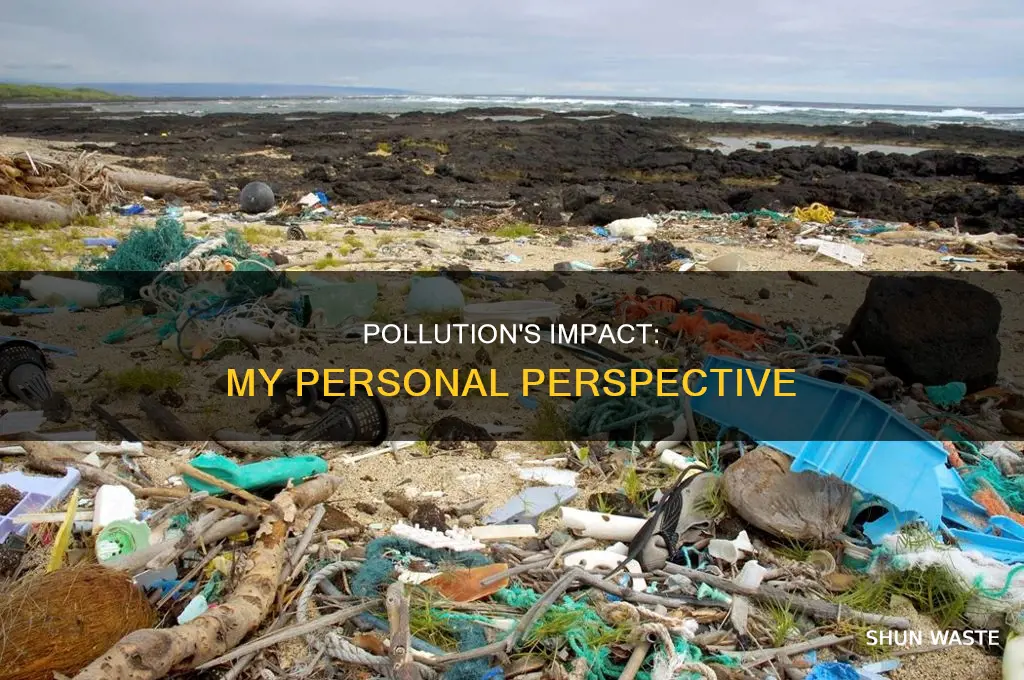 what is an opinion about pollution
