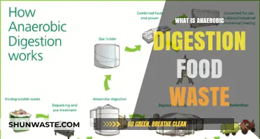 Transforming Food Waste: The Power of Anaerobic Digestion