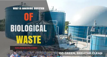 Anaerobic Digestion: Transforming Biological Waste into Renewable Energy