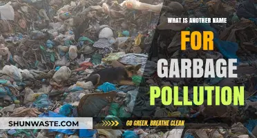 The Ugly Truth: Garbage Pollution's Many Aliases