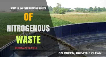 Nitrogenous Waste's Hidden Harm: Uncovering Its Environmental and Health Impact