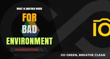 Exploring Synonyms for a Negative Environment: Beyond 'Bad' Conditions