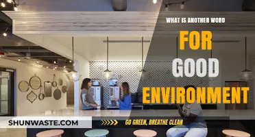 Synonyms for Good Environment: Exploring Terms for Healthy, Positive Spaces